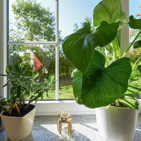 Flat With Sauna Covered Terrace Garden And Tree House For Children *